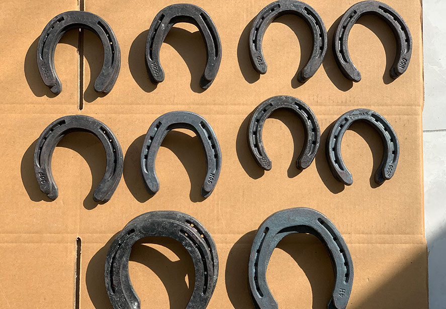 Air shipping samples ad SOLEA Customer