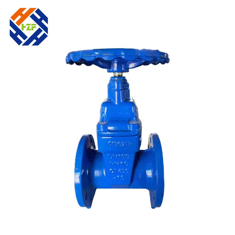 ANSI PN16 80mm 100mm 200mm Ferrum Flanged Type Gate Valve