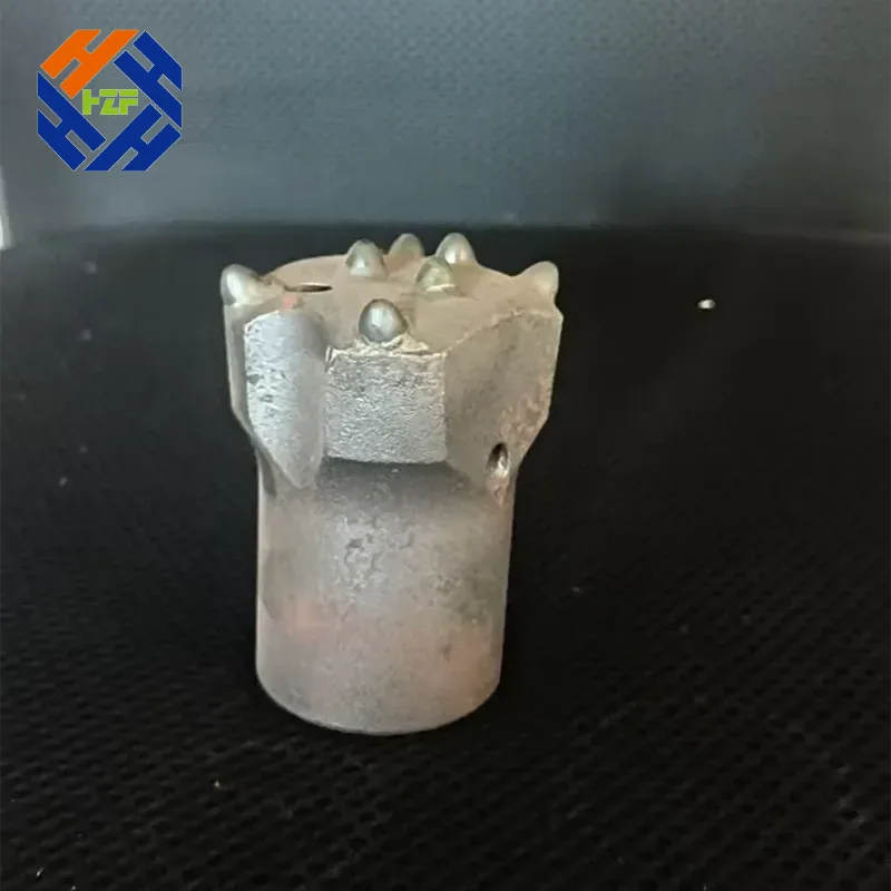 Petram EXERCITATIO Bit